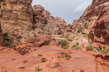 Antik kentte kayalar Petra, Ürdün