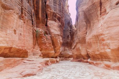 Siq manzarası (dar geçit, antik Petra ana girişi), Ürdün