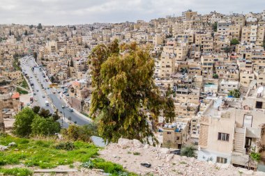 Ürdün, Amman 'da dik yamaçlarda evler.