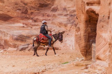 Petra, Ürdün - 23 Mart 2017: Yerli çocuk eski şehir Petra, Ürdün 'de eşeğe biniyor