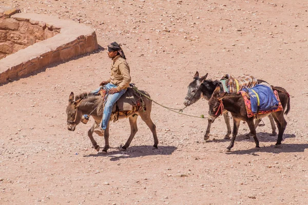 Petra Jordan March 2017 Local Man Donkeys Ancient City Petra — Stock Photo, Image