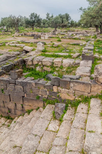 Starożytne Ruiny Umm Qais Jordania — Zdjęcie stockowe