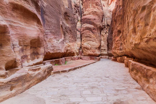 Siq Smal Ravin Huvudingången Till Den Antika Staden Petra Jordanien — Stockfoto
