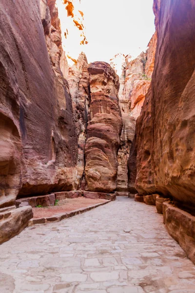 Siq Narrow Gorge Main Entrance Ancient City Petra Jordan — 스톡 사진