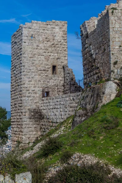 Ruinas Del Castillo Rabad Ajloun Jordania — Foto de Stock
