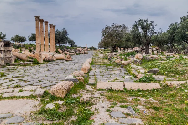 Colonnaded Δρόμο Στα Ερείπια Του Umm Qais Ιορδανία — Φωτογραφία Αρχείου