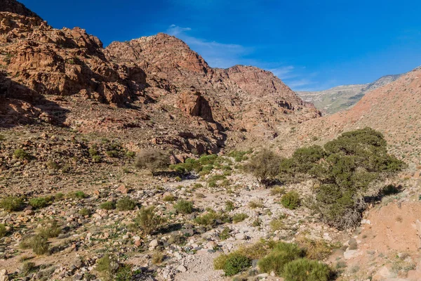 Wadi Dana Canyon Dana Biosphere Reserve Jordan — Stock Photo, Image