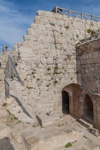 Ruinas Del Castillo Rabad Ajloun Jordania — Foto de Stock