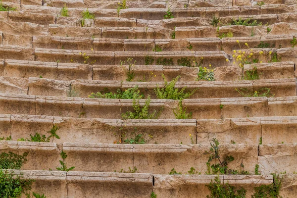 Ruins Northern Theatre Jerash Jordan — Stock Photo, Image