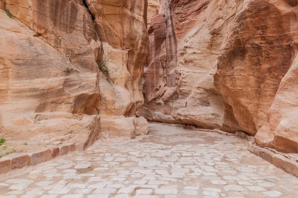 Zicht Siq Smalle Kloof Hoofdingang Van Oude Stad Petra Jordanië — Stockfoto