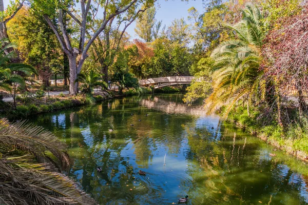 Teich Parque Infante Dom Pedro Park Aveiro Portugal — Stockfoto