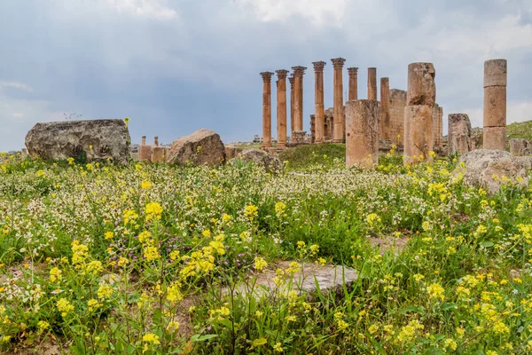 Tempio Artemide Nell Antica Città Jerash Giordania — Foto Stock