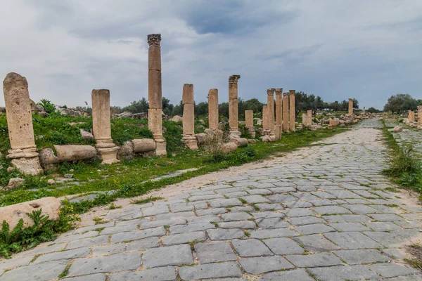 Colonnaded Road Przy Ruinach Umm Qais Jordania — Zdjęcie stockowe