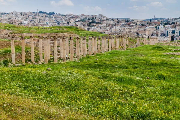 Säulen Der Antiken Stadt Jerash Jordanien — Stockfoto