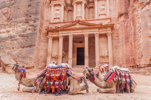 Kameler Framför Khaznehtemplet Skattkammaren Den Antika Staden Petra Jordanien — Stockfoto