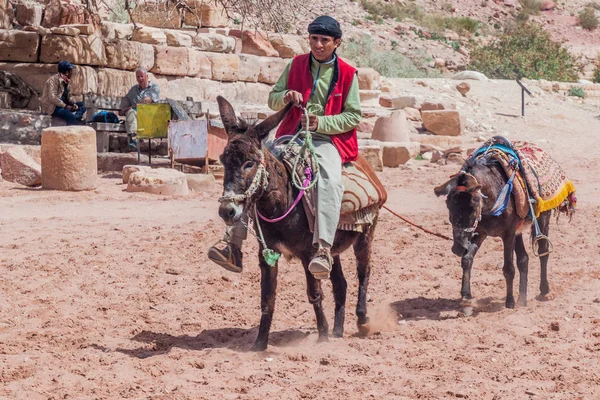 Petra Jordania Marca 2017 Miejscowy Jeździec Osłem Starożytnym Mieście Petra — Zdjęcie stockowe