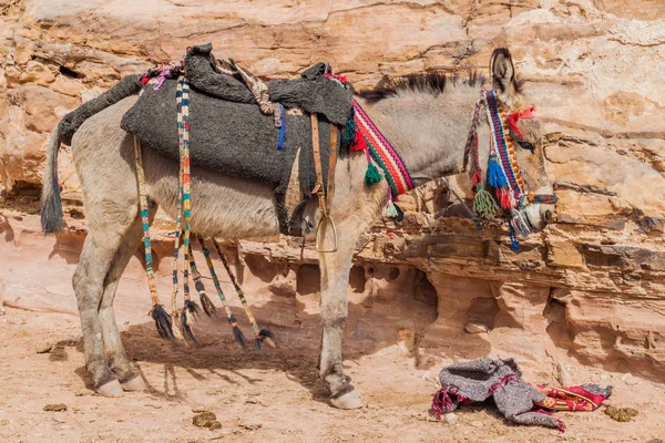 Ezel Oude Stad Petra Jordanië — Stockfoto