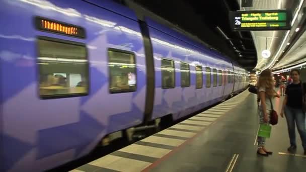 Comboio na Estação Central de Malmo, Suécia — Vídeo de Stock