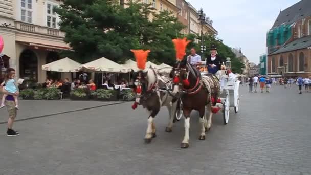 Paardrijtuig met toeristen op het marktplein in Krakau, Polen — Stockvideo