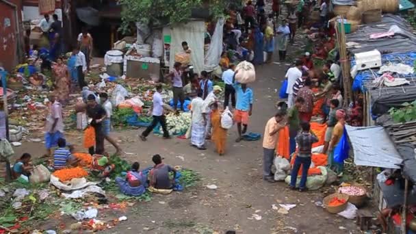 Uitzicht op Mullik Ghat Bloemenmarkt in Kolkata, India — Stockvideo