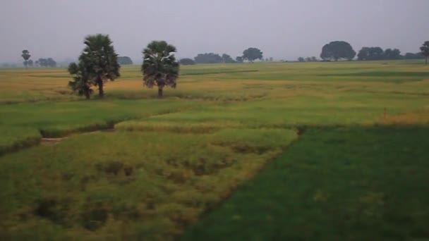 Landscape of Bihar state — 비디오