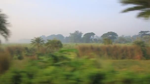 孟加拉国的绿色景观 — 图库视频影像