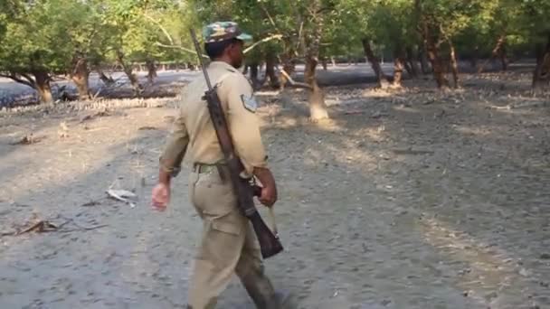 Membre du personnel de sécurité du département forestier de Sundarbans protégeant les touristes pendant la visite, Bangladesh . — Video