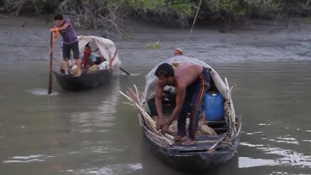 Τοπικός ψαράς στο σκάφος του στο Sundarbans, Μπαγκλαντές — Αρχείο Βίντεο