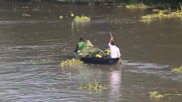 Pequeño barco cargado de coco en el río Sandha, Bangladesh — Vídeo de stock