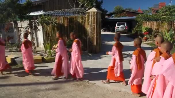 Jóvenes monjas budistas toman limosnas matutinas en una calle de la ciudad de Nyaungshwe, Myanmar . — Vídeos de Stock