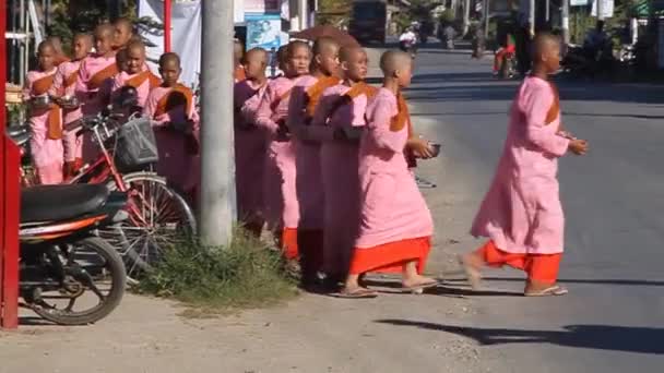 Jovens freiras budistas fazem esmolas matinais em uma rua na cidade de Nyaungshwe, Mianmar . — Vídeo de Stock
