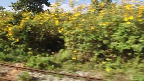 Τρένο κοντά Gokteik Gok Teik Viaduct — Αρχείο Βίντεο