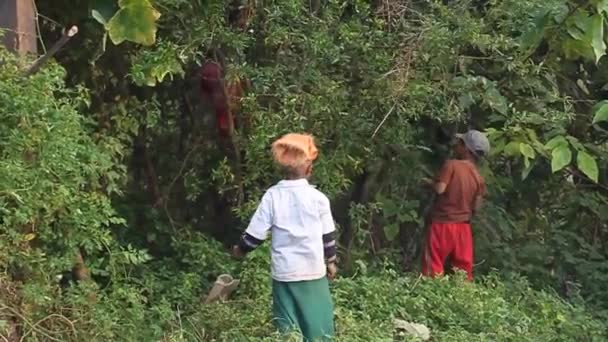 Lokala barn i en by nära Hsipaw, Myanmar — Stockvideo