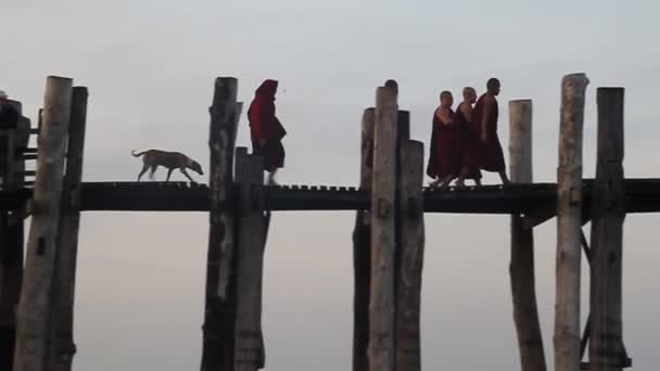 Budist keşişler Mandalay, Myanmar yakınlarındaki Amarapura 'daki Taungthaman Gölü üzerindeki U Bein köprüsünü geçiyorlar. — Stok video