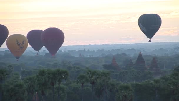 Ballonnen over Bagan — Stockvideo