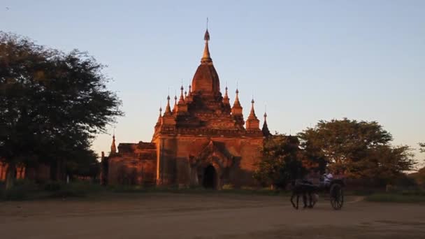 Paardenkarren met toeristen in Bagan, Myanmar. — Stockvideo