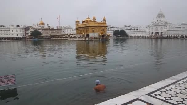 Sikh wielbiciel kąpieli w basenie w Złotej Świątyni — Wideo stockowe