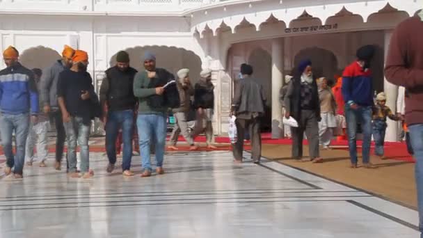 Les gens visitent le temple d'or — Video