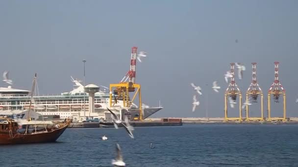 Ships at Mutrah port in Muscat — Stock Video