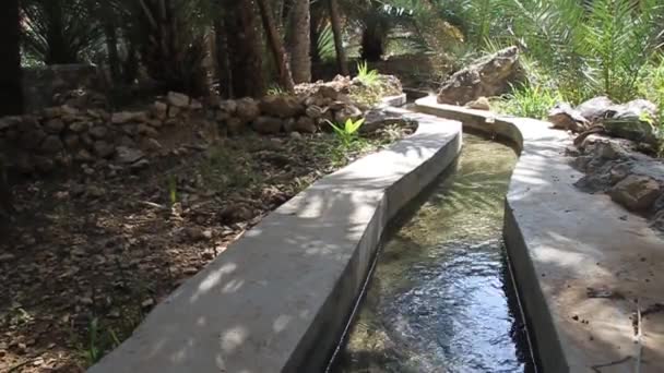 Canal de riego tradicional llamado Falaj — Vídeos de Stock