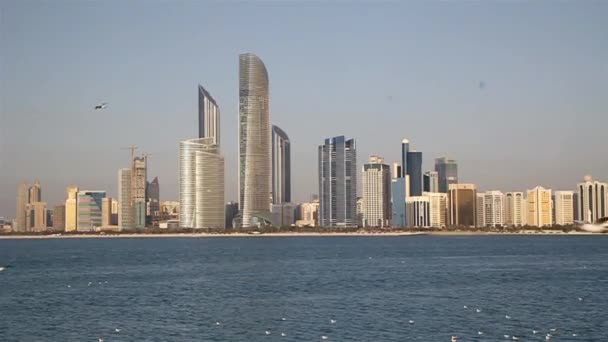 Gaivotas do mar e um horizonte de Abu Dhabi — Vídeo de Stock