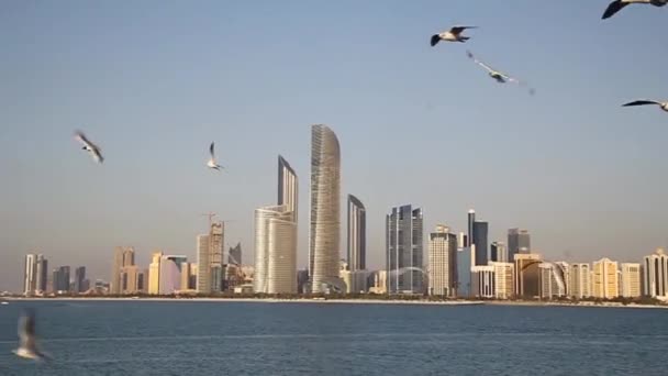 Zee meeuwen en een skyline van Abu Dhabi — Stockvideo