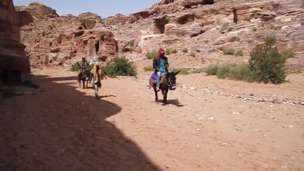 Cavaleiros de burro na cidade antiga Petra, Jordânia — Vídeo de Stock