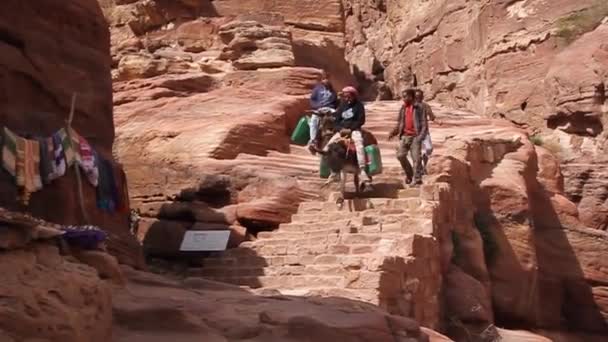 Ezels in de oude stad Petra, Jordanië — Stockvideo