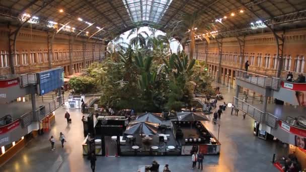 Jardín tropical en la antigua estación de tren de Atocha en Madrid, España — Vídeos de Stock