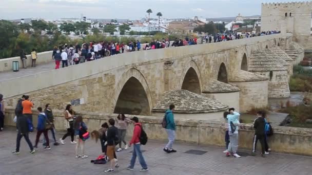 Mensen steken de Romeinse brug van Cordoba over.. — Stockvideo