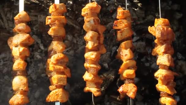 View of shashlik shashlyk , — Stock Video