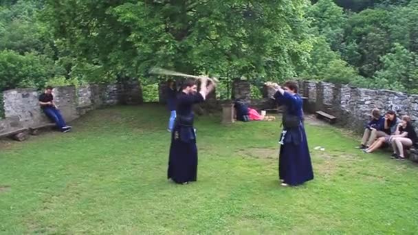 チェコ共和国の中世の城での剣道武道のパフォーマンス — ストック動画