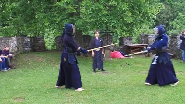 Kendo martial art performance at a medieval castle in the Czech Republic — Stock Video