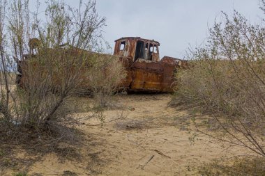 Rusty gemiyi eski Aral deniz kıyısındaki gemi mezarlığında terk etti (Moynoq veya Muynak), Özbekistan.